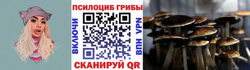 наркотики  Первомайск  Галлюциногенные грибы GOLDEN TEACHER 